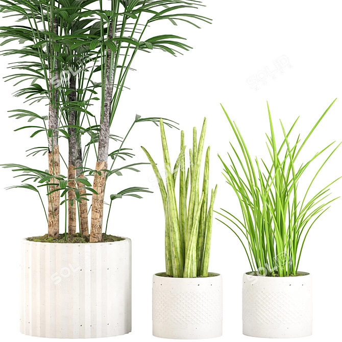 Lush Green Collection: Palm, Sensavia & Grass Pot 3D model image 2