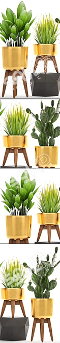 Luxury Plant Collection: Cactus, Agave, Palm Grass 3D model image 2