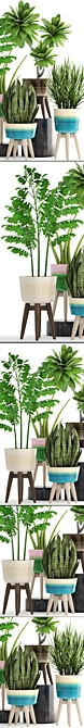 Tropical Greenery Collection: Plumeria, Chlorophytum, and More 3D model image 2