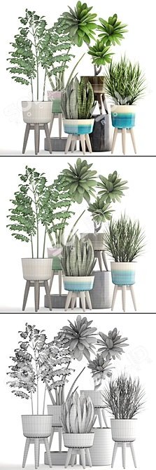 Tropical Greenery Collection: Plumeria, Chlorophytum, and More 3D model image 3