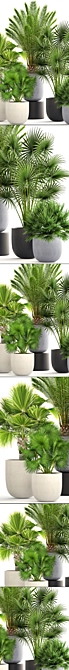 Exotic Palm Collection: Interior Pot Set 3D model image 2