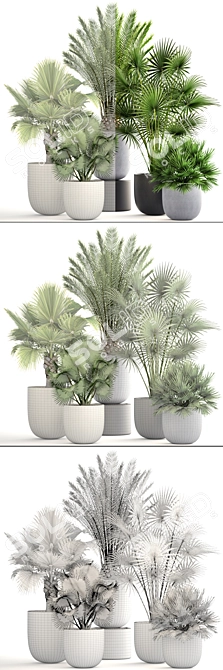 Exotic Palm Collection: Interior Pot Set 3D model image 3