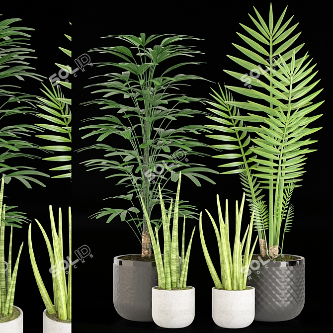 27 Plant Set with Beautiful Pot 3D model image 1