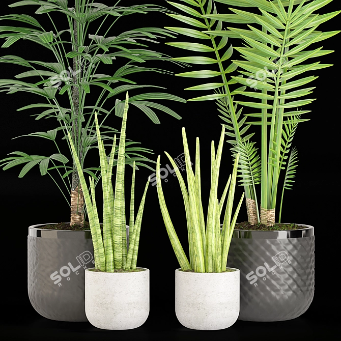 27 Plant Set with Beautiful Pot 3D model image 2