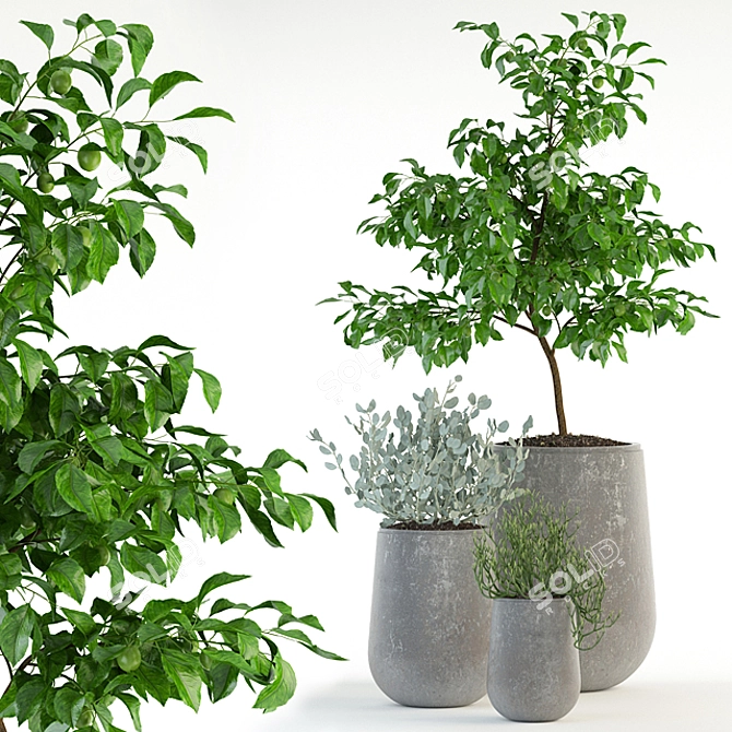 Garden Haven: 82 Lush Plant Pots 3D model image 1