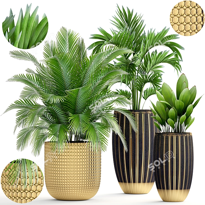 Tropical Plant Mix: Areca Palm, Howea, Kentia, Phoenix 3D model image 1