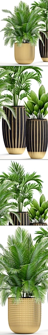 Tropical Plant Mix: Areca Palm, Howea, Kentia, Phoenix 3D model image 2