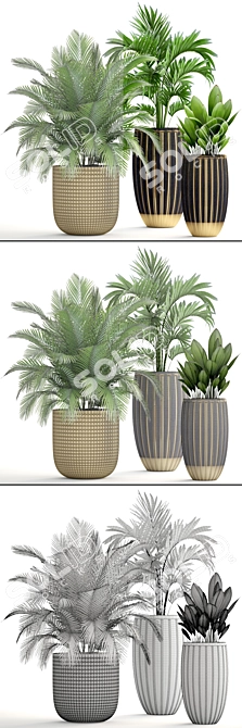 Tropical Plant Mix: Areca Palm, Howea, Kentia, Phoenix 3D model image 3