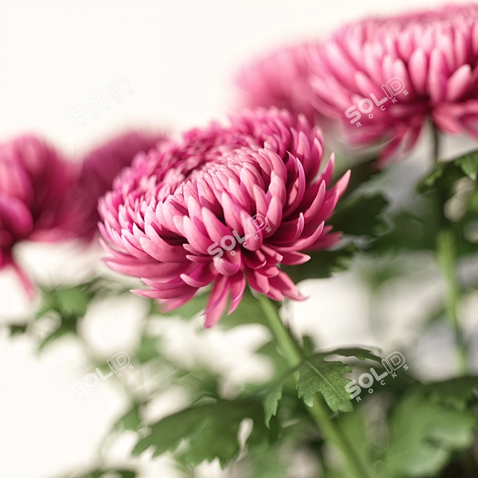 Elegant Echasse Vase 3D model image 5