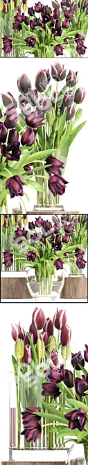 Spring Blooms: Collection of Tulips 3D model image 2