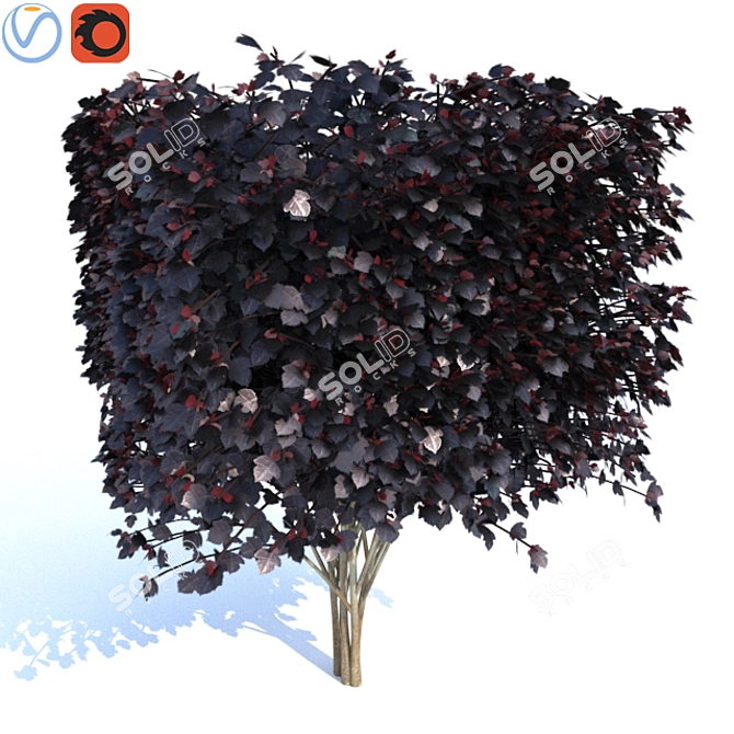 Diablo Cube Vesicle Plant - Set of 3 3D model image 1