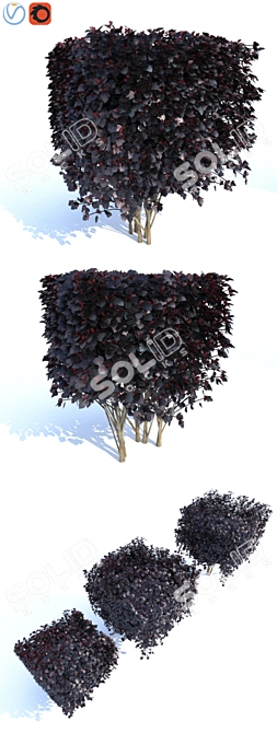 Diablo Cube Vesicle Plant - Set of 3 3D model image 2