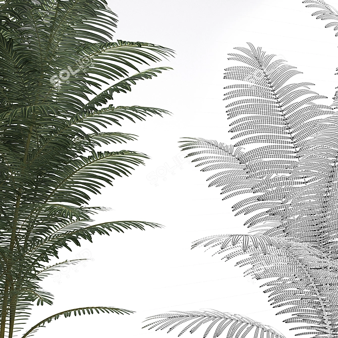 Tropical Paradise Palm Tree 3D model image 2