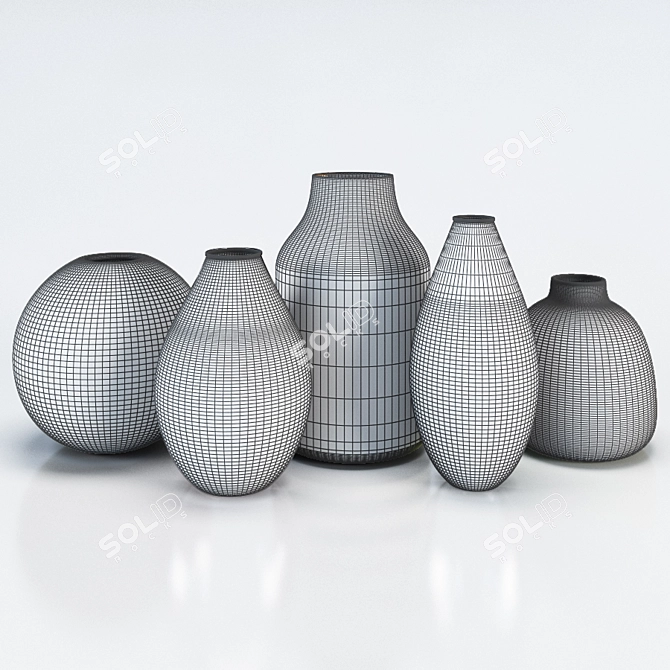 Elegant Vase Set for ZARA HOME 3D model image 2