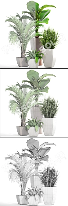 Green Haven: Beautiful Indoor Plant Collection 3D model image 3