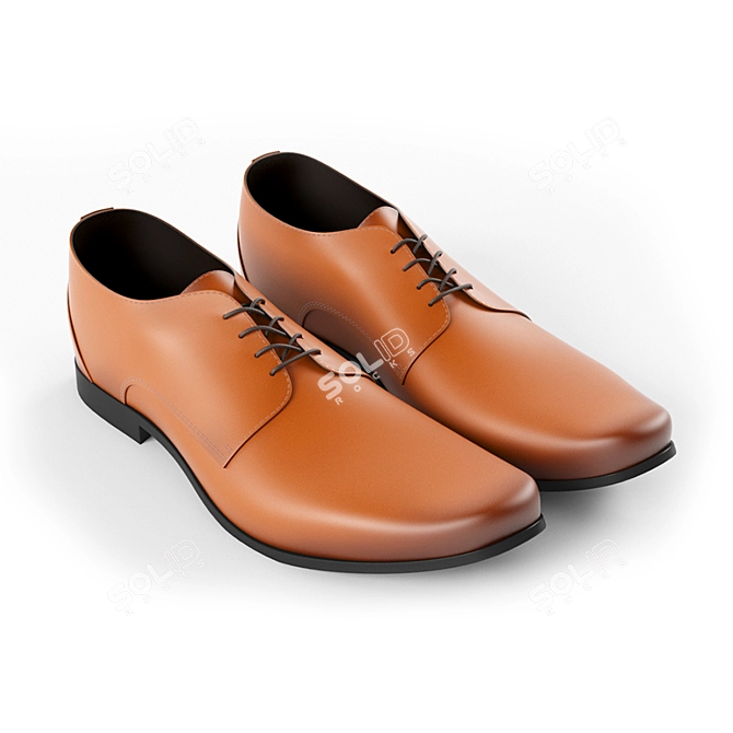 Durable Leather Shoes: High-quality and Stylish 3D model image 1