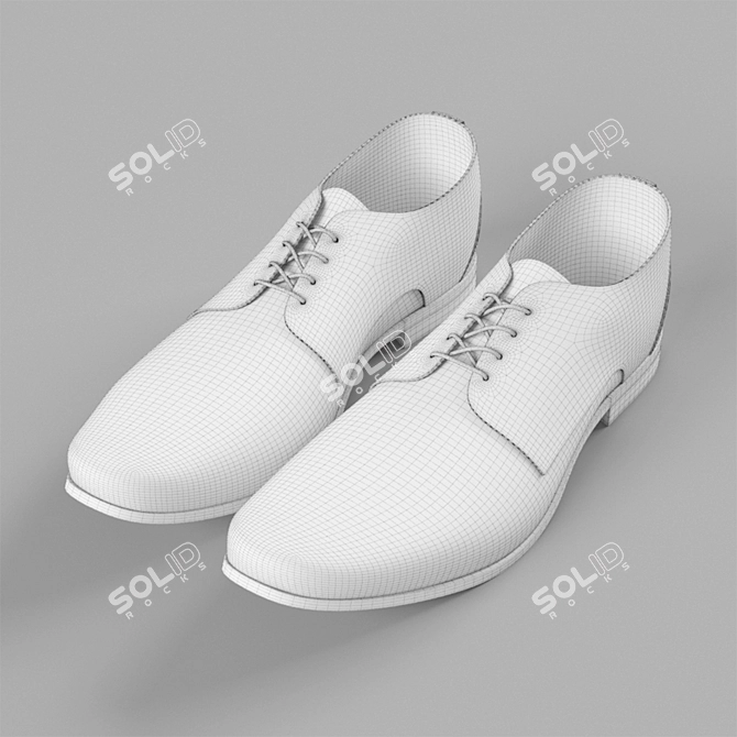 Durable Leather Shoes: High-quality and Stylish 3D model image 3