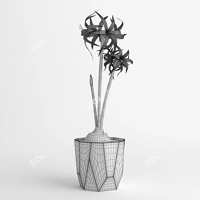  Elegant Amaryllis Flower in ELHO Pot 3D model image 3