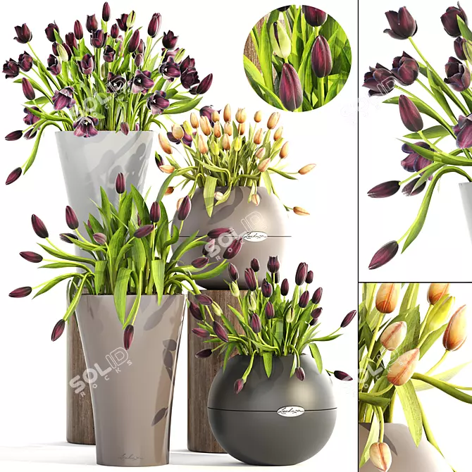 Tulip Collection in Lechuza Pots 3D model image 1