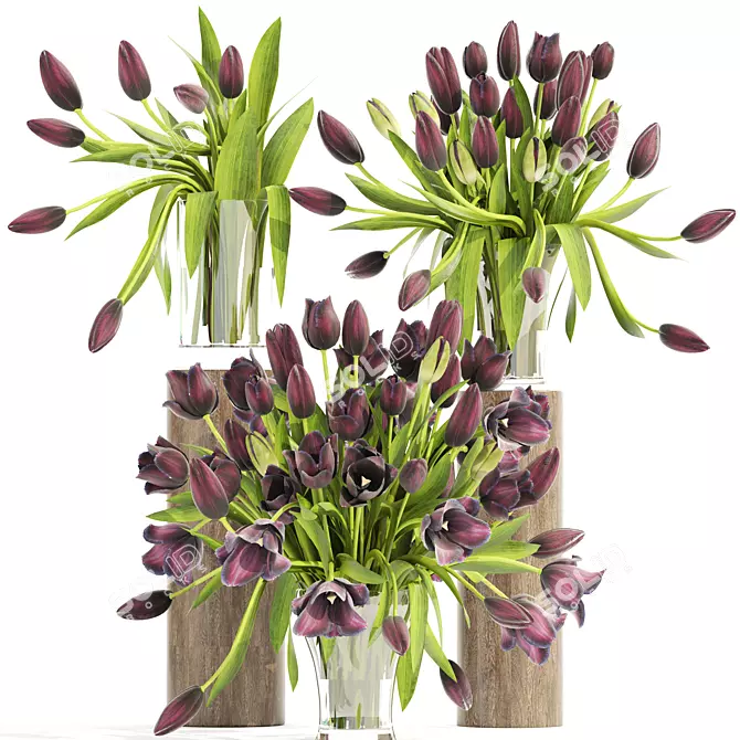 Spring Tulip Bouquet Collection 3D model image 1