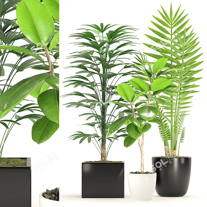 Green Oasis: Palm & Ficus Elastica Set 3D model image 1