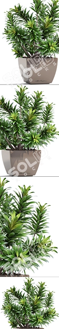 Reflexa Dracaena: Stylish Interior Decor 3D model image 2