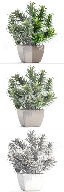 Reflexa Dracaena: Stylish Interior Decor 3D model image 3