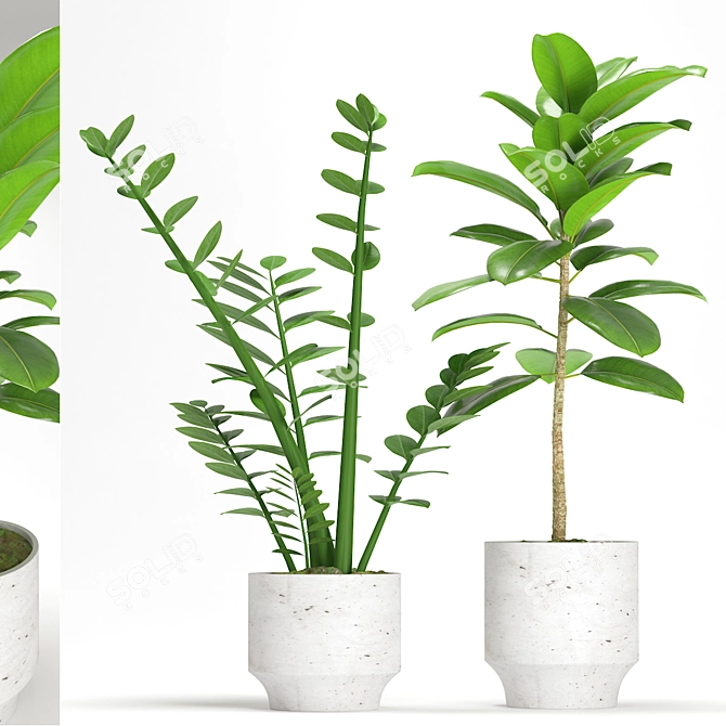  Elegant Indoor Plant Set 3D model image 1