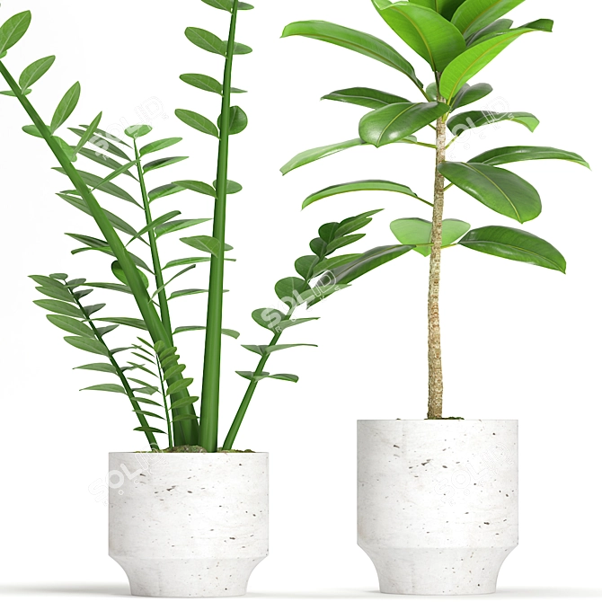  Elegant Indoor Plant Set 3D model image 2