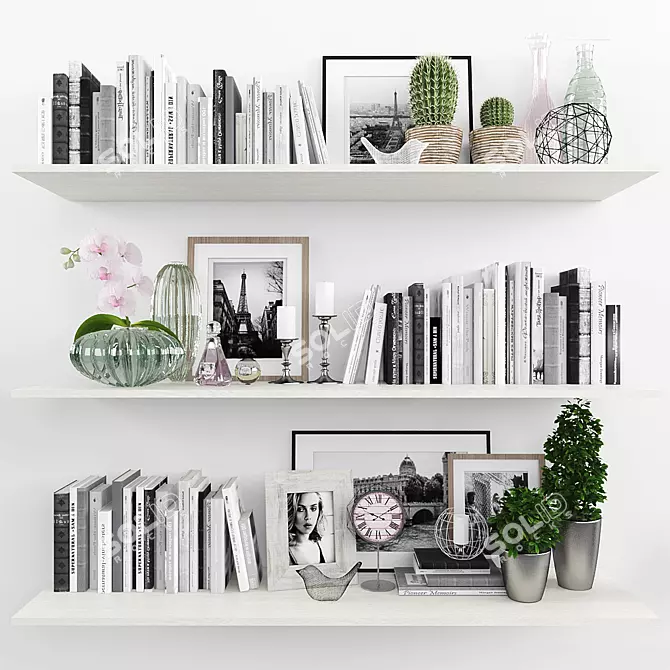 Stylish Decor Set: Books, Plants, Frames, Clocks, Art 3D model image 1