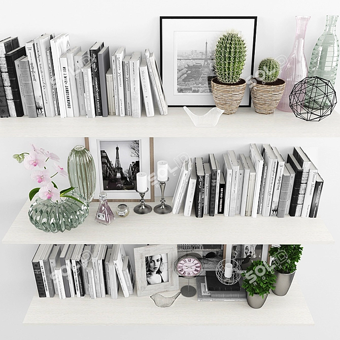 Stylish Decor Set: Books, Plants, Frames, Clocks, Art 3D model image 2