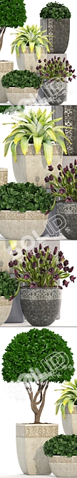 193 Plant Collection - Capi Europe Pots 3D model image 2