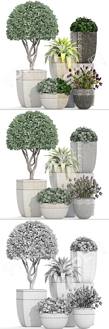 193 Plant Collection - Capi Europe Pots 3D model image 3