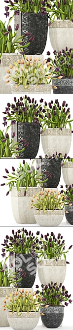 Tulip Trio Garden Collection 3D model image 2