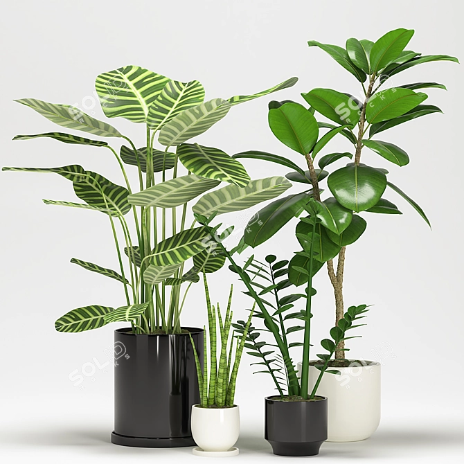 Exquisite Indoor Plant Collection 3D model image 1