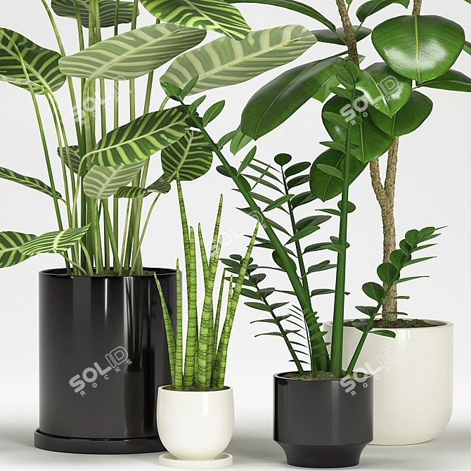 Exquisite Indoor Plant Collection 3D model image 2