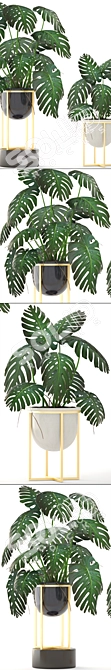 Luxury Gold Monstera Planter 3D model image 2