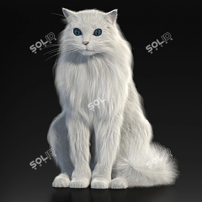 Turkish Angora 3D Model with Skeleton: Lifelike and Detailed 3D model image 1