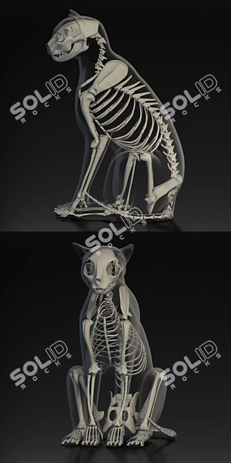 Turkish Angora 3D Model with Skeleton: Lifelike and Detailed 3D model image 3