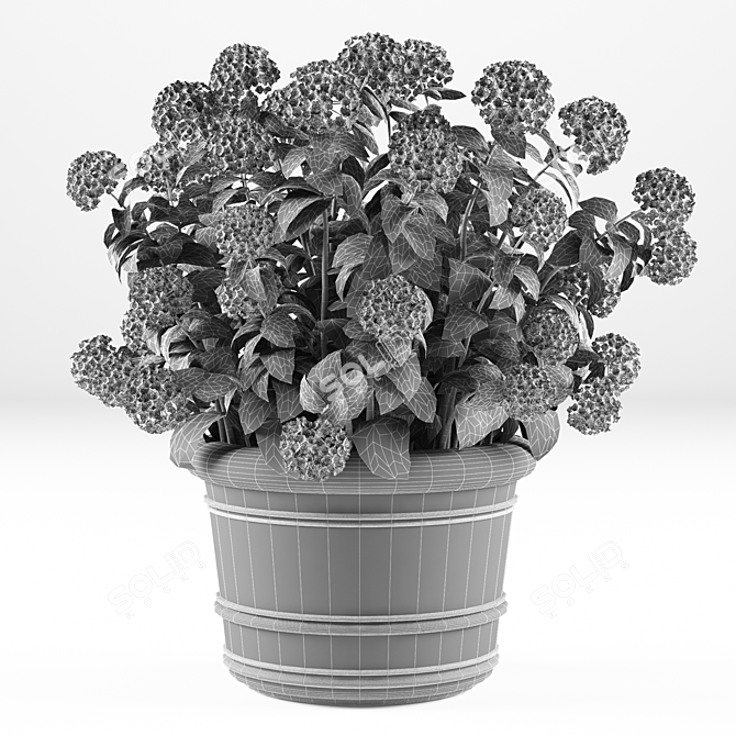 Hortense Hydrangea: Lifelike Plant Decoration 3D model image 2