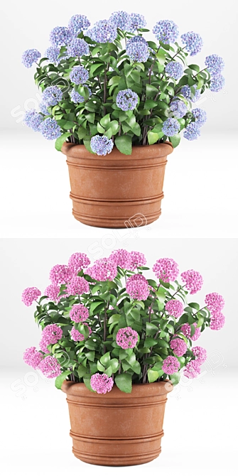 Hortense Hydrangea: Lifelike Plant Decoration 3D model image 3