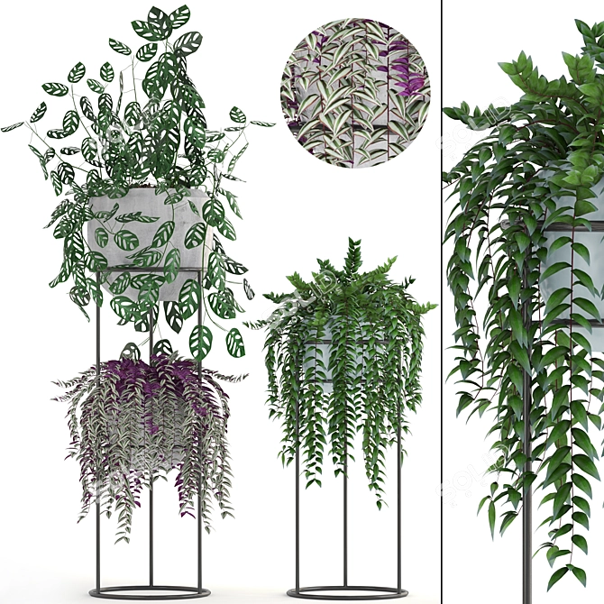 Indoor Hanging Plants & Monstera - Plant Collection 3D model image 1