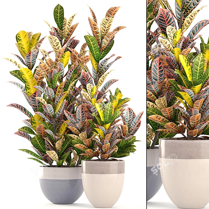 Bloomingville Terracotta Collection: Croton in Pot 3D model image 1