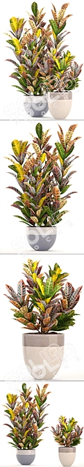 Bloomingville Terracotta Collection: Croton in Pot 3D model image 2