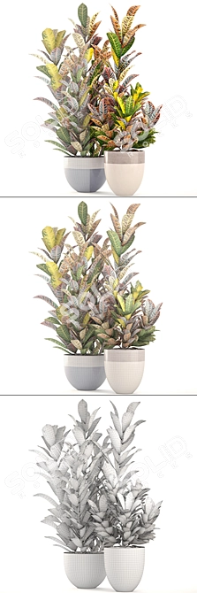 Bloomingville Terracotta Collection: Croton in Pot 3D model image 3