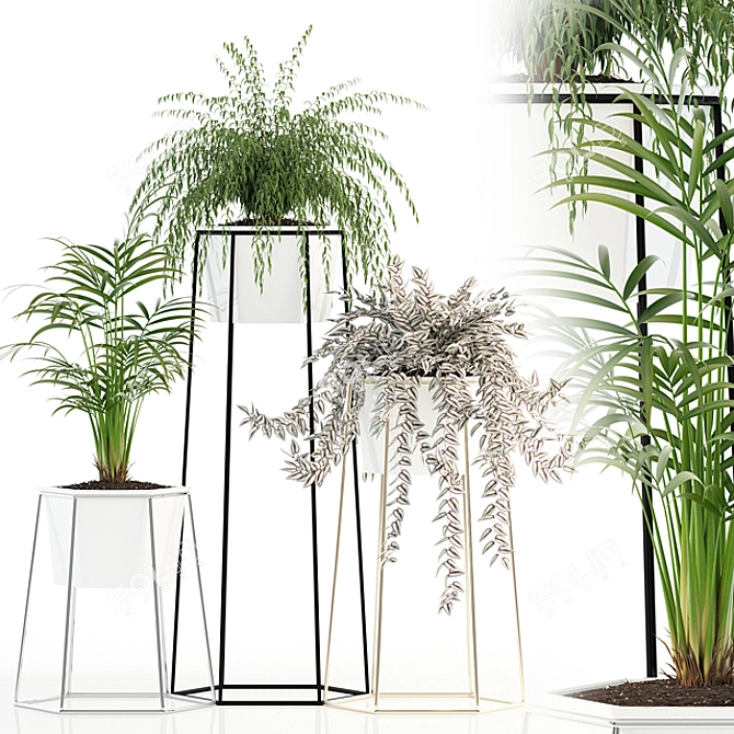 Green Oasis: Plant Collection 88 3D model image 1