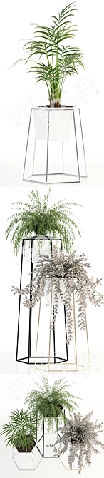 Green Oasis: Plant Collection 88 3D model image 2