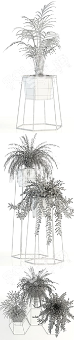 Green Oasis: Plant Collection 88 3D model image 3