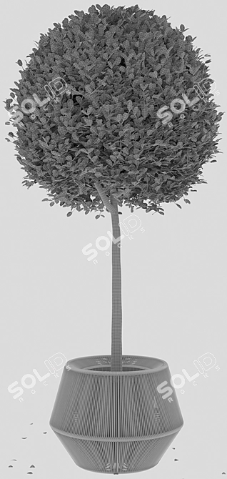 Sculpted Buxus Sphere in ZigZag Pot 3D model image 3