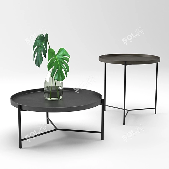 Bronson Coffee & Side Table + Monstera Plant 3D model image 1